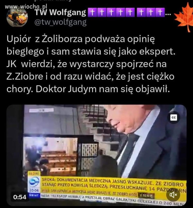 Wcale się nie dziwię