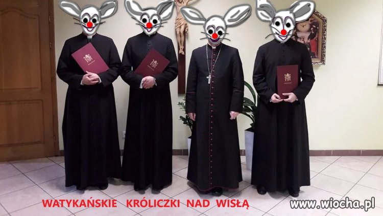 Kochajcie króliczki