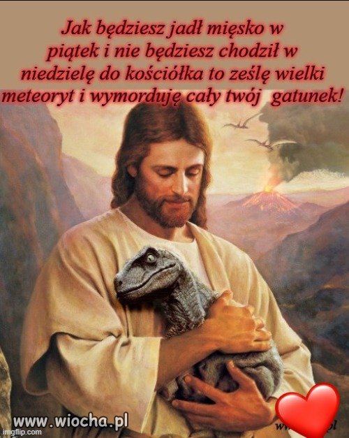 Dinuś nie posłuchał
