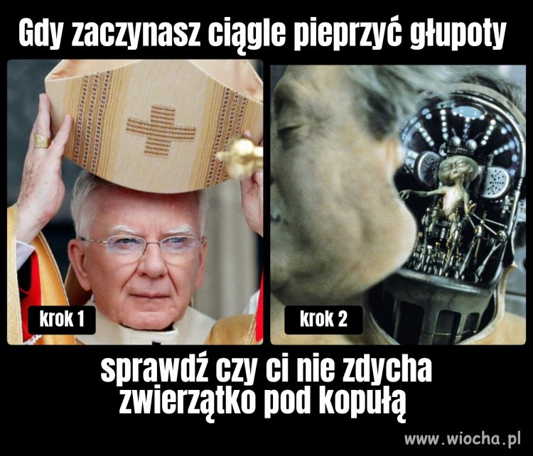 Obcy są wśród nas 