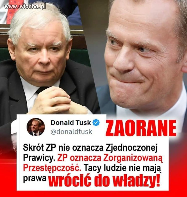 Zorganizowana 