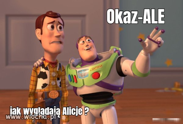 Wygląd