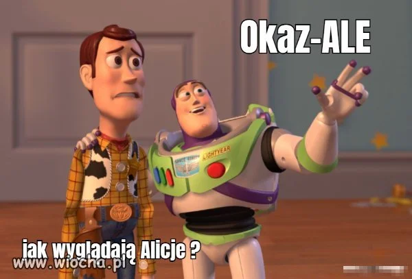 Wygląd