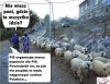 Gadane to oni mieli