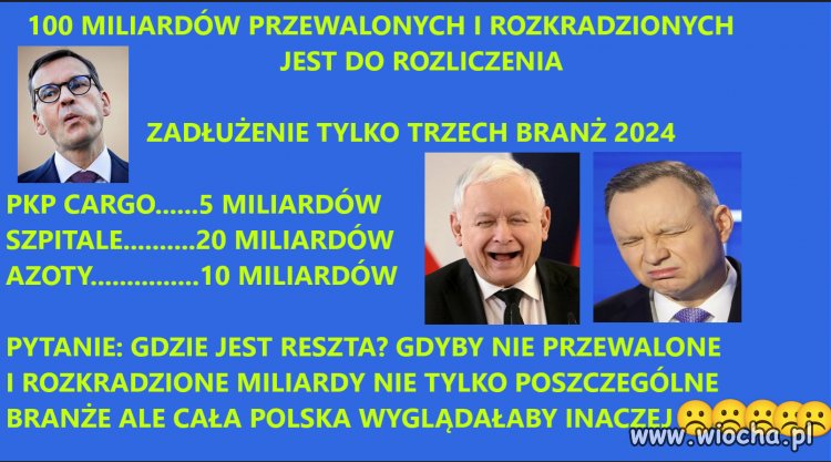 Chodzą przed kamery,ujadają