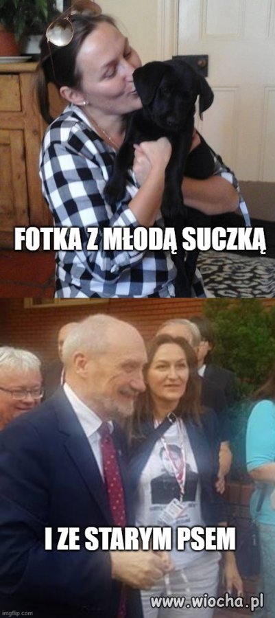 Zdjęcia z pieskami
