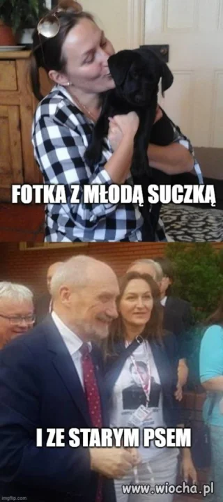 Zdjęcia z pieskami