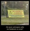 Dokładnie tak !