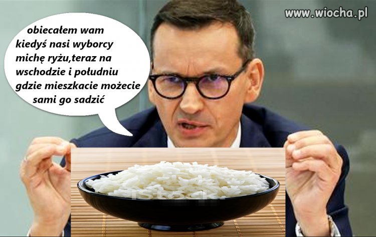 No to pisiorki