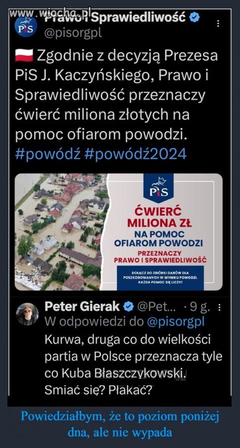Co znaczy być bogatym pisowskim ścierwem?