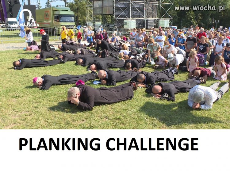 Czarne gąsienice