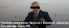 Wolność dla pisowskich złodziei 
