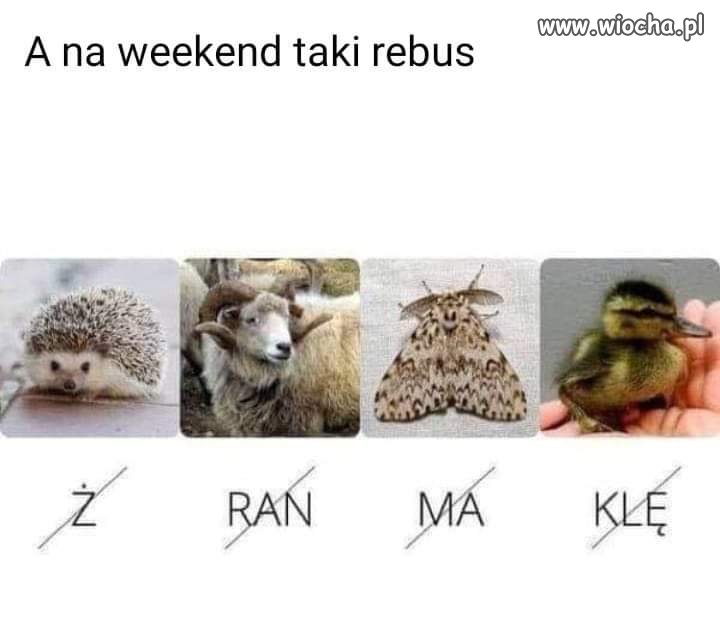 Bardzo