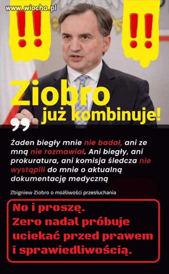 Zero skończ pajacować