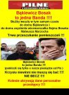 Nie rycz mały, nie rycz ...