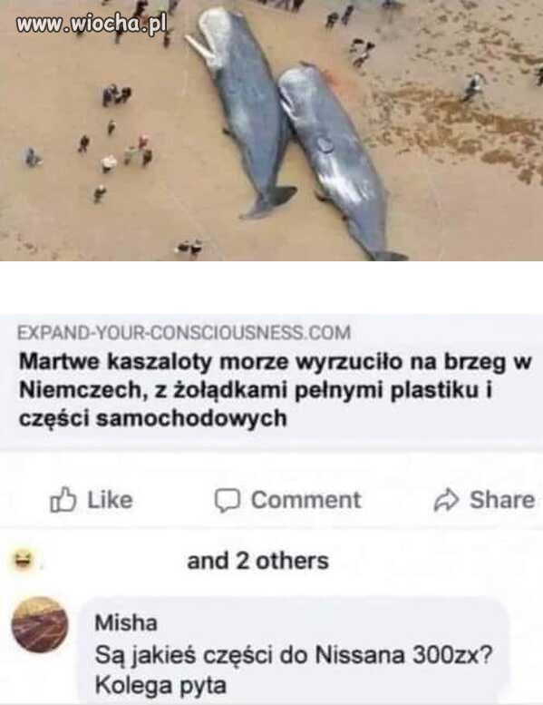 Jest może miska olejowa do E39?