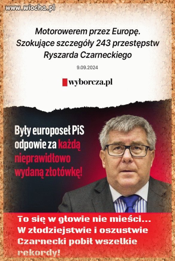 Pisowski złodziej
