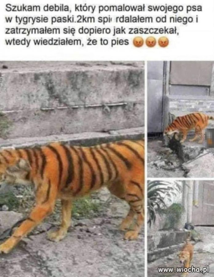 ...to dziecko.