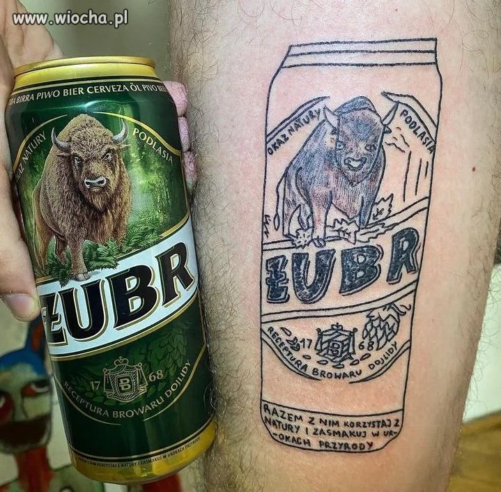 Żubr.