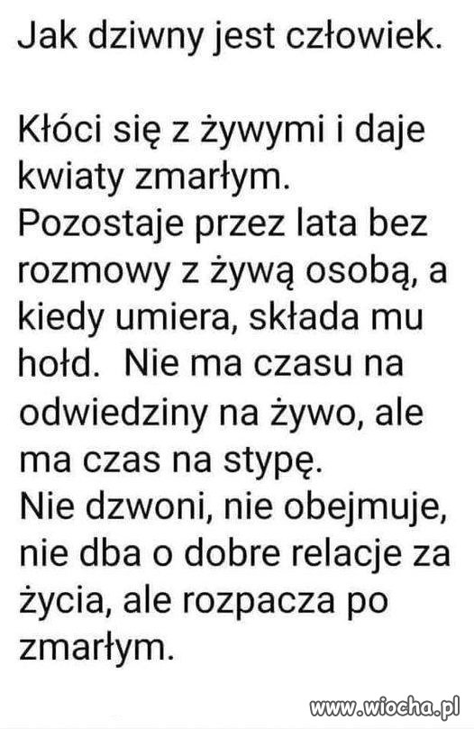 Samo życie
