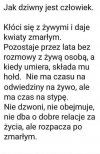 Samo życie