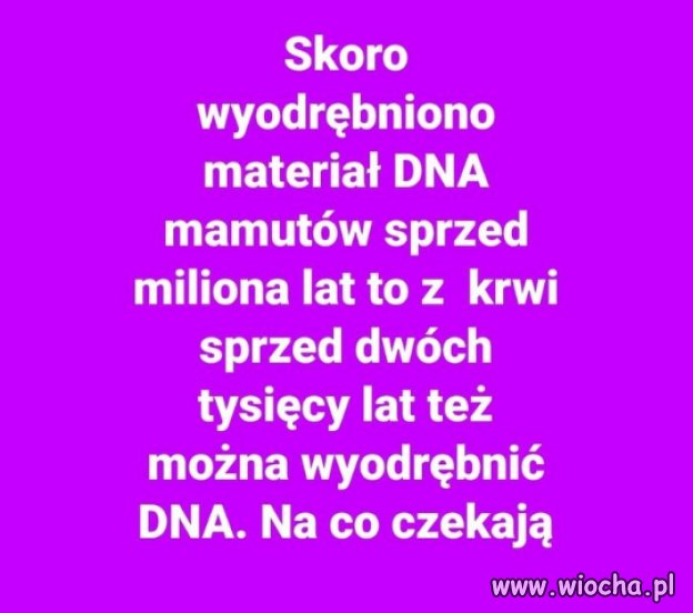 Ponoć mają 14 napletków Jezusa ...