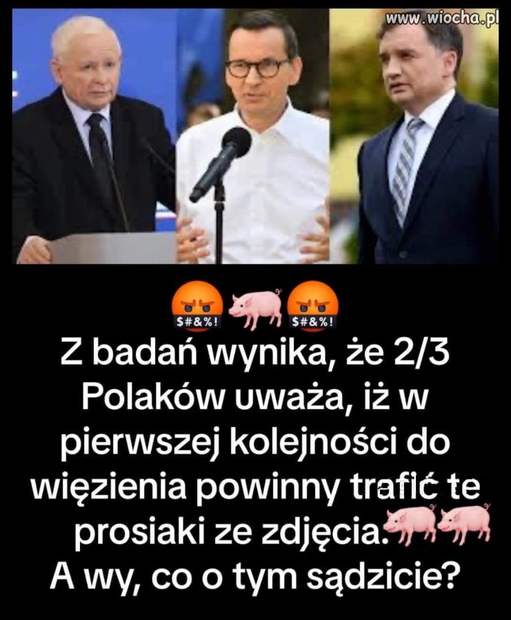 Tu się nie ma co z nimi pieścić, trzeba wsadzać 