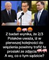 Tu się nie ma co z nimi pieścić, trzeba wsadzać 