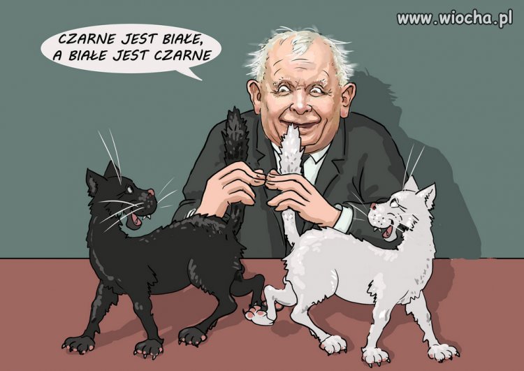 Kłamstwa, knucie, szczucie i odwracanie kota ogonem!