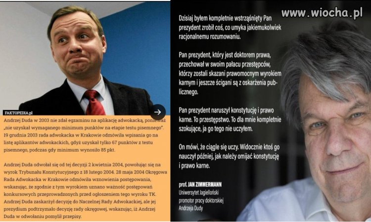 PiS wydobył z zakamarków prawniczego zad*pia liczne miernoty, 