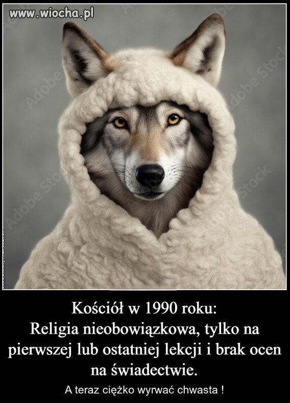 Kościół 