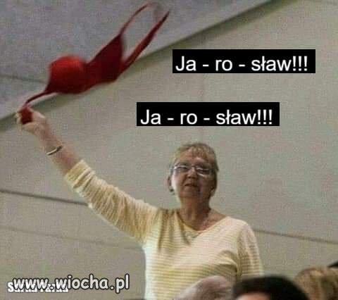 Zdjecie