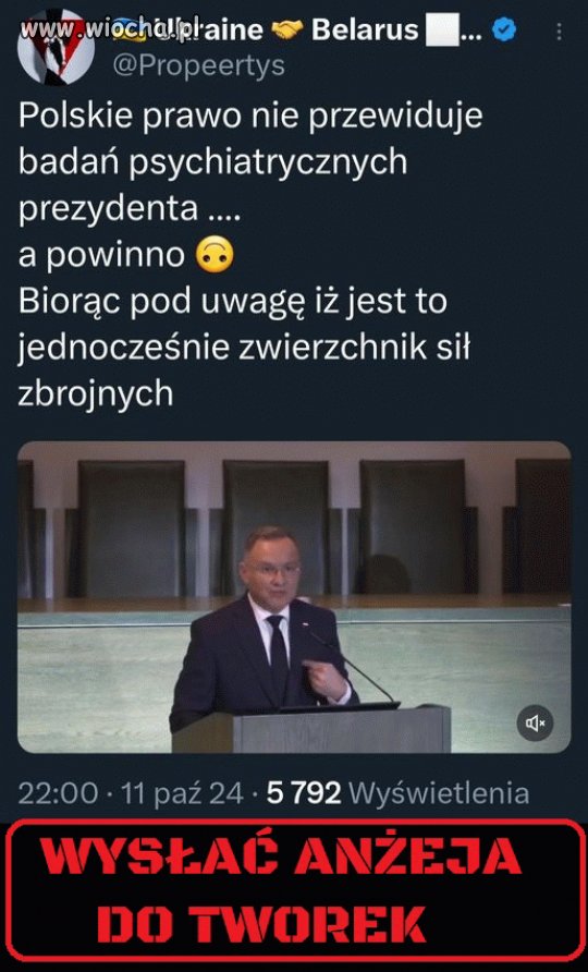 Miejsce czubka jest u czubków
