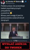 Miejsce czubka jest u czubków