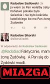 Radek mistrz