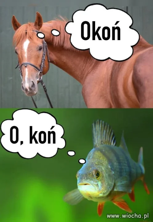 Humor bez polityki.
