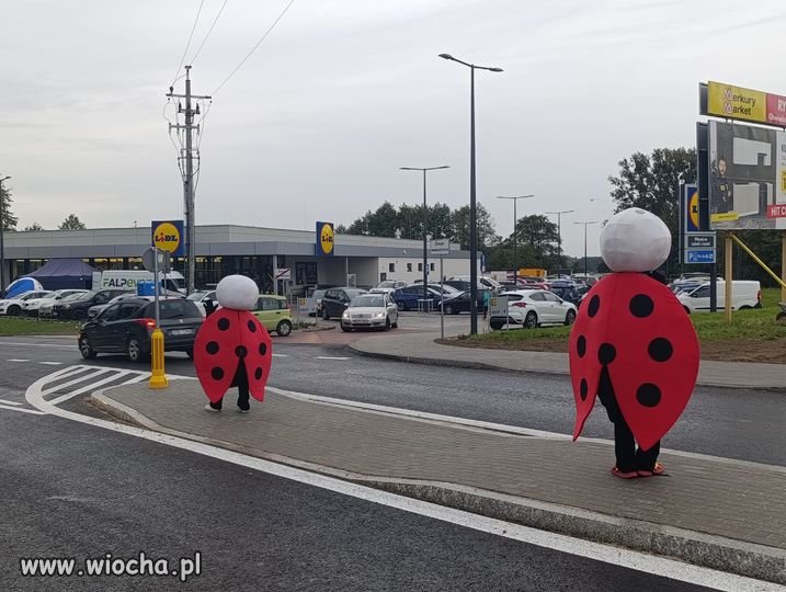 Dywersja pod konkurencją?