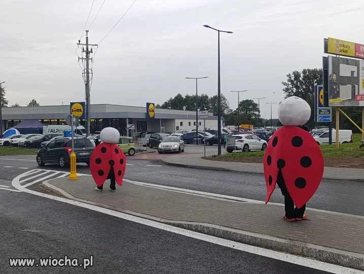 Dywersja pod konkurencją?