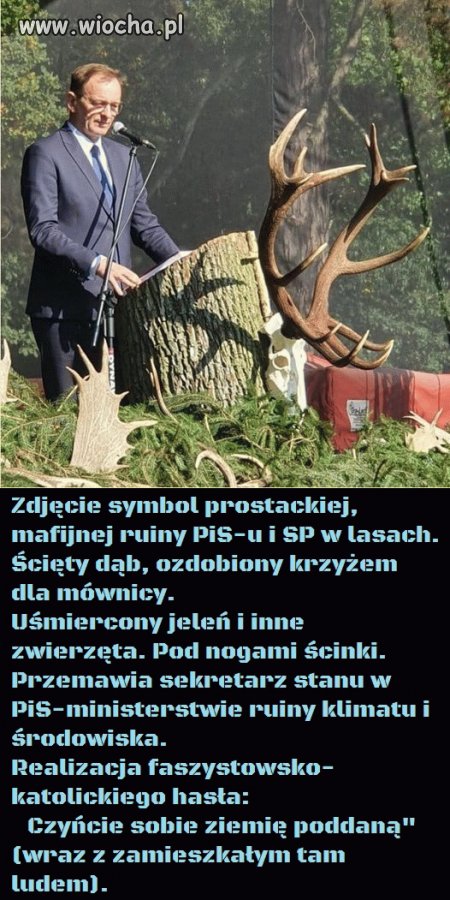 Więcej niż tysiąc słów