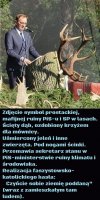 Więcej niż tysiąc słów