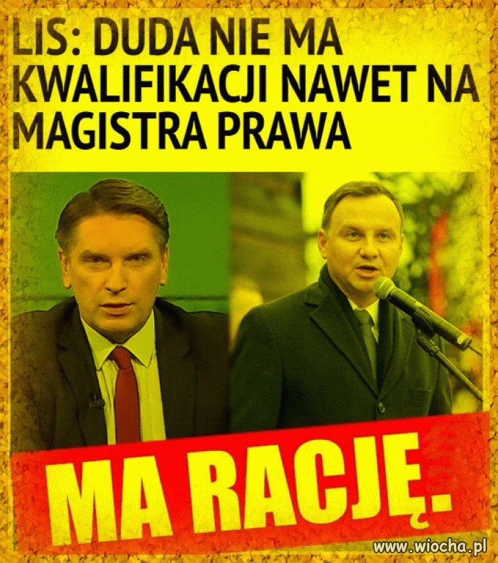 Lis jak zawsze celnie