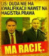 Lis jak zawsze celnie