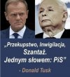 PiS Kaczyńskiego to patologiczna banda cwaniaczków