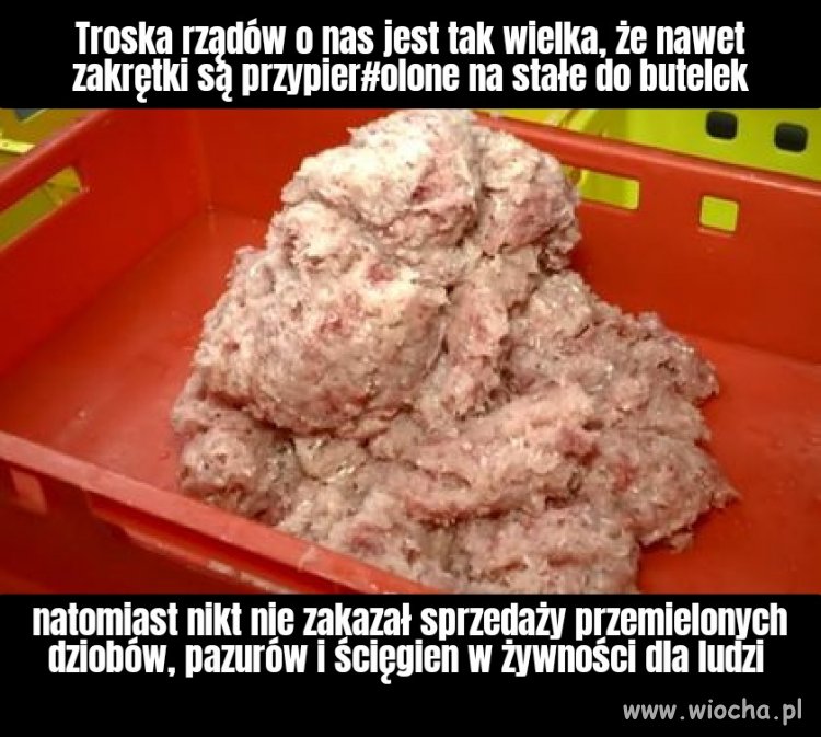 MOM. Tego nie daję nawet psu 
