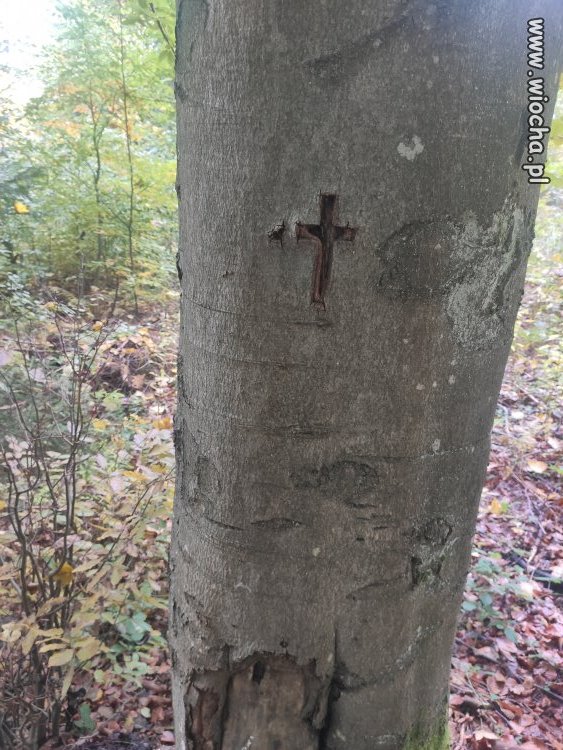 Objawienie na szlaku