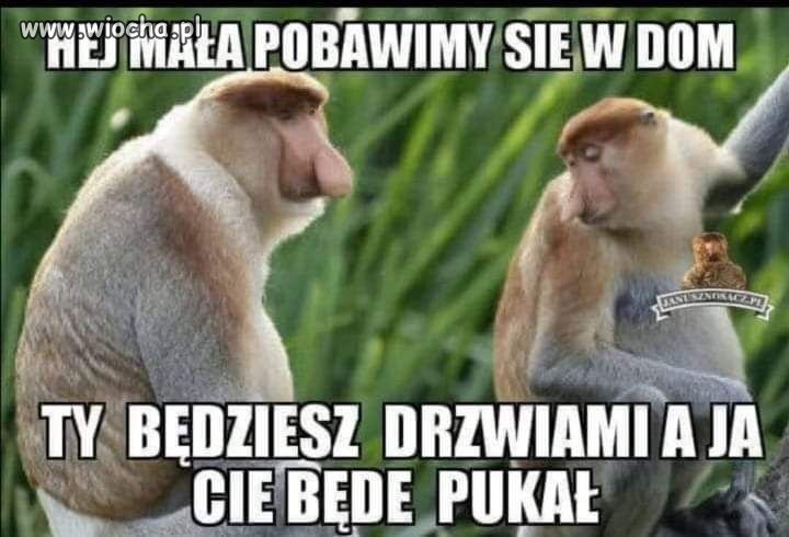 Hejka.