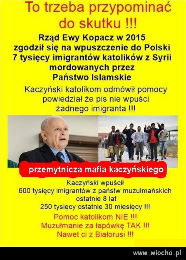 PiSowskie refugees welcome, za kasę tylko ! 