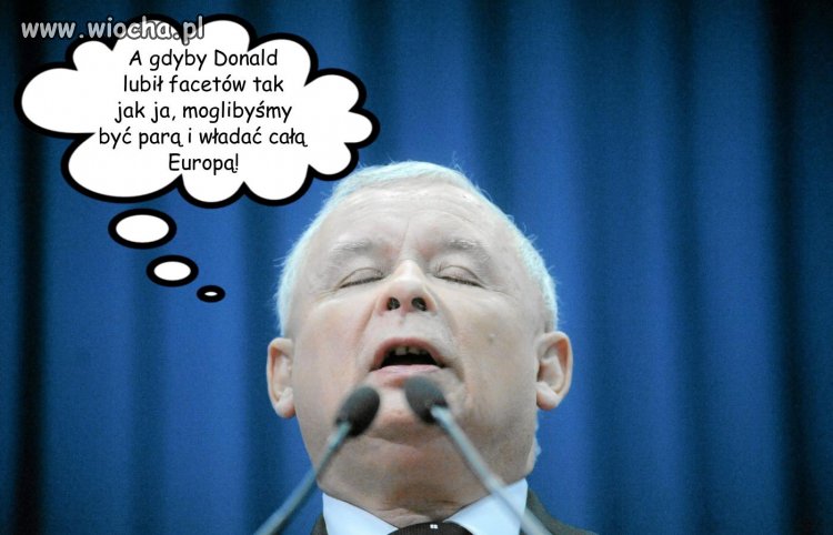 Marzenia kaczorka dyktatorka...