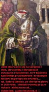 Szach i mat