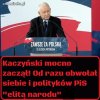 Stara kacza kreatura znowu odleciała,